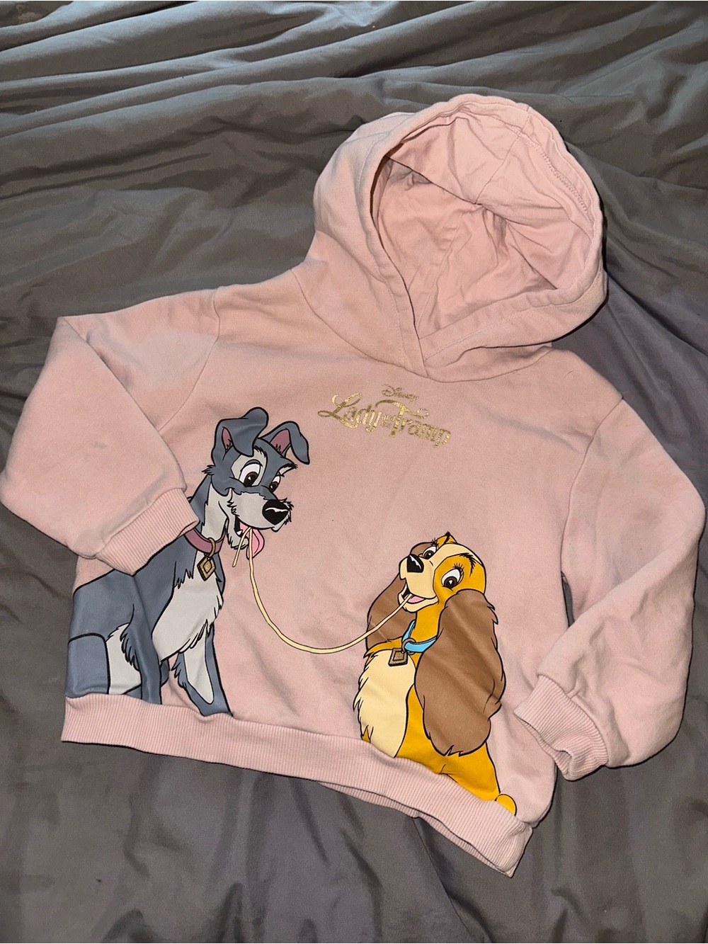 DISNEY | Lady and the Tramp Pink Hoodie